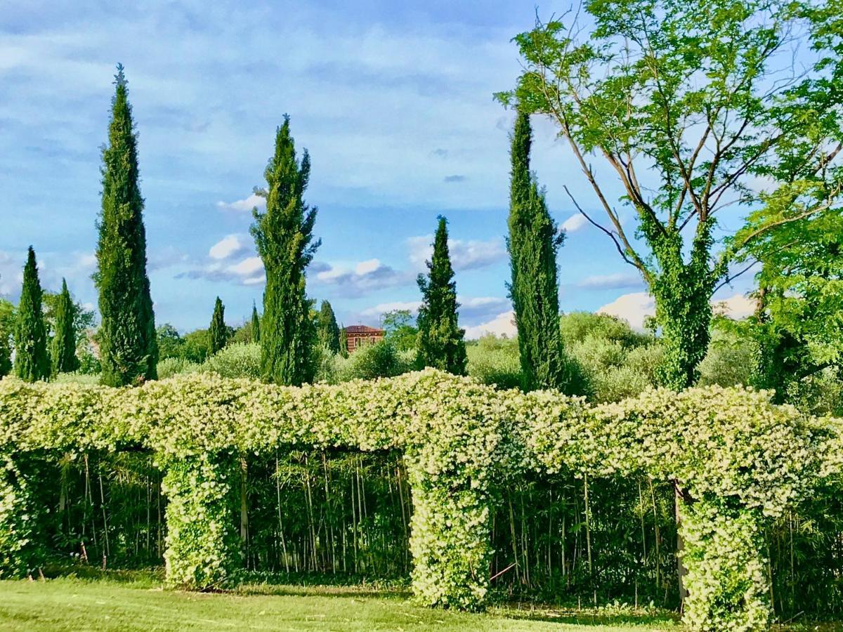 Agriturismo Antica Dimora Del Turco 소나 외부 사진